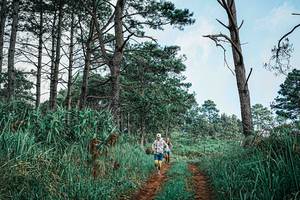 BIB: 
                            <button type="button" onclick="openModal(25653436)" class="btn btn-primary btn-sm float-right btn-popup" data-toggle="modal" data-target=".modal-high-quality">
                        <i class="fas fa-shopping-cart"></i> Add to Cart
                    </button>
                                            <button type="button" onclick="isThisMe(25653436, true)" class="btn btn-success btn-sm float-right btn-popup btn-isme hidden" data-toggle="tooltip" data-placement="bottom" title="นี่คือรูปของคุณใช่ไหม คลิกที่นี่เพื่อเอาเข้าอัลบั้ม">
                        <i class="fas fa-plus"></i> Add to album
                    </button>
                    <button type="button" onclick="isThisMe(25653436, false)" class="btn btn-warning btn-sm float-right btn-popup btn-isnotme hidden">
                        <i class="fas fa-ban"></i> Remove from album
                    </button>